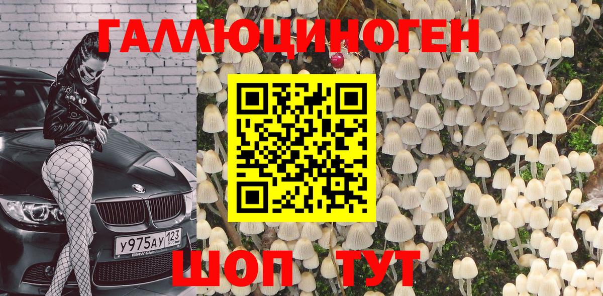 Галлюциногенные грибы MAGIC MUSHROOMS  Вход с VPN  Армавир 