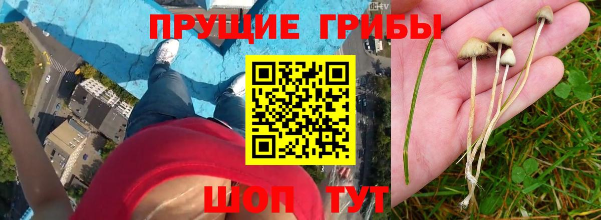 Галлюциногенные грибы мицелий Армавир